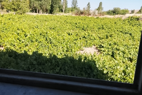 بر روی دوش بادم گویی سوار2